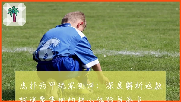 虎扑西甲玩家测评：深度解析这款球迷聚集地的核心体验与亮点