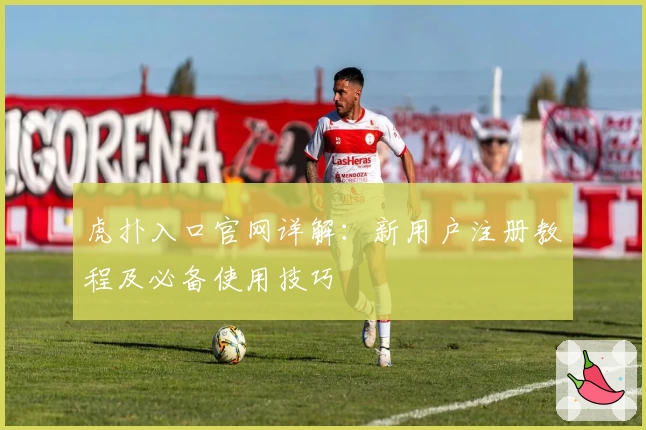 虎扑入口官网详解：新用户注册教程及必备使用技巧